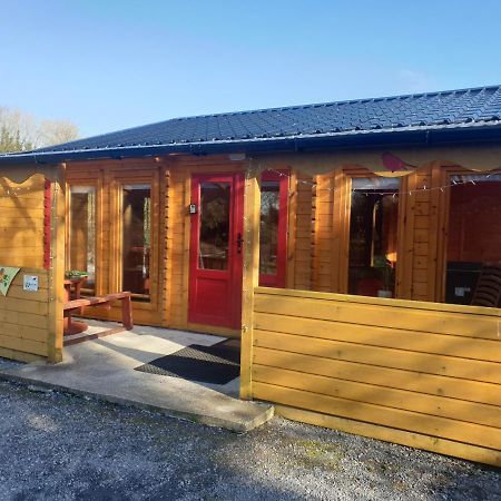 Red Robin Nest Apartment Galway Bagian luar foto