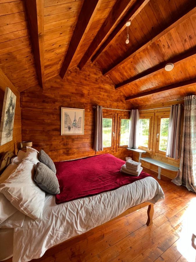 Red Robin Nest Apartment Galway Bagian luar foto