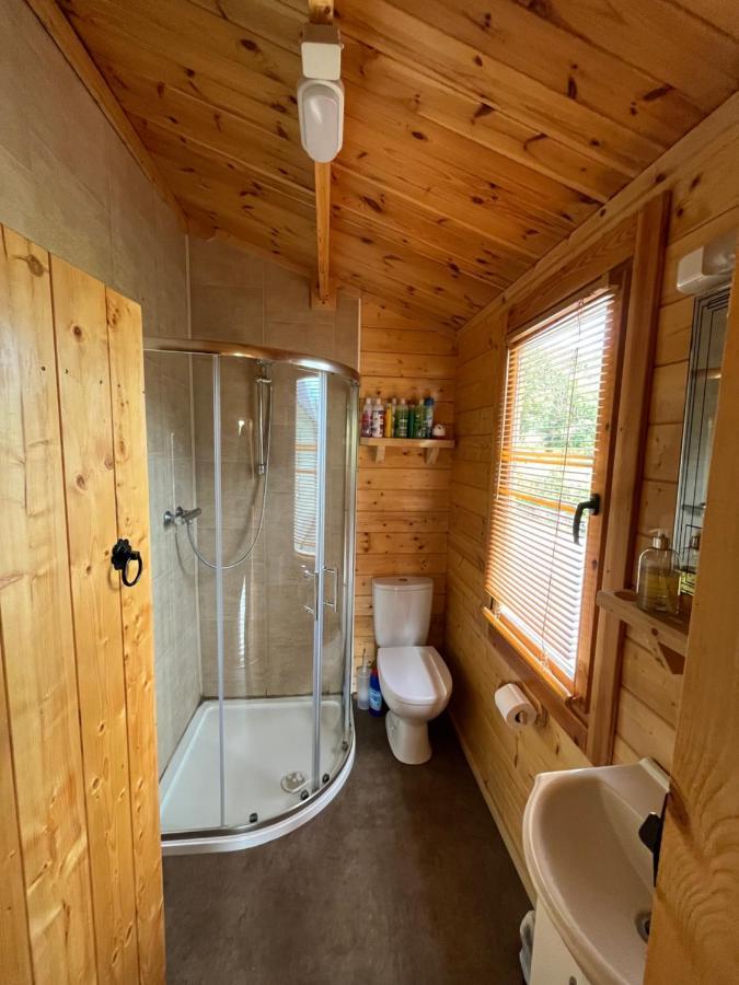 Red Robin Nest Apartment Galway Bagian luar foto