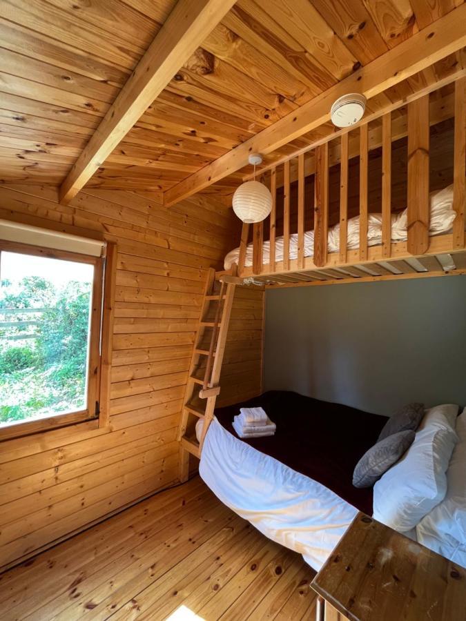 Red Robin Nest Apartment Galway Bagian luar foto